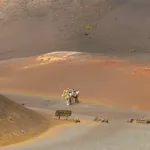 Groupe sur chameaux traversant paysage volcanique, Lanzarote.